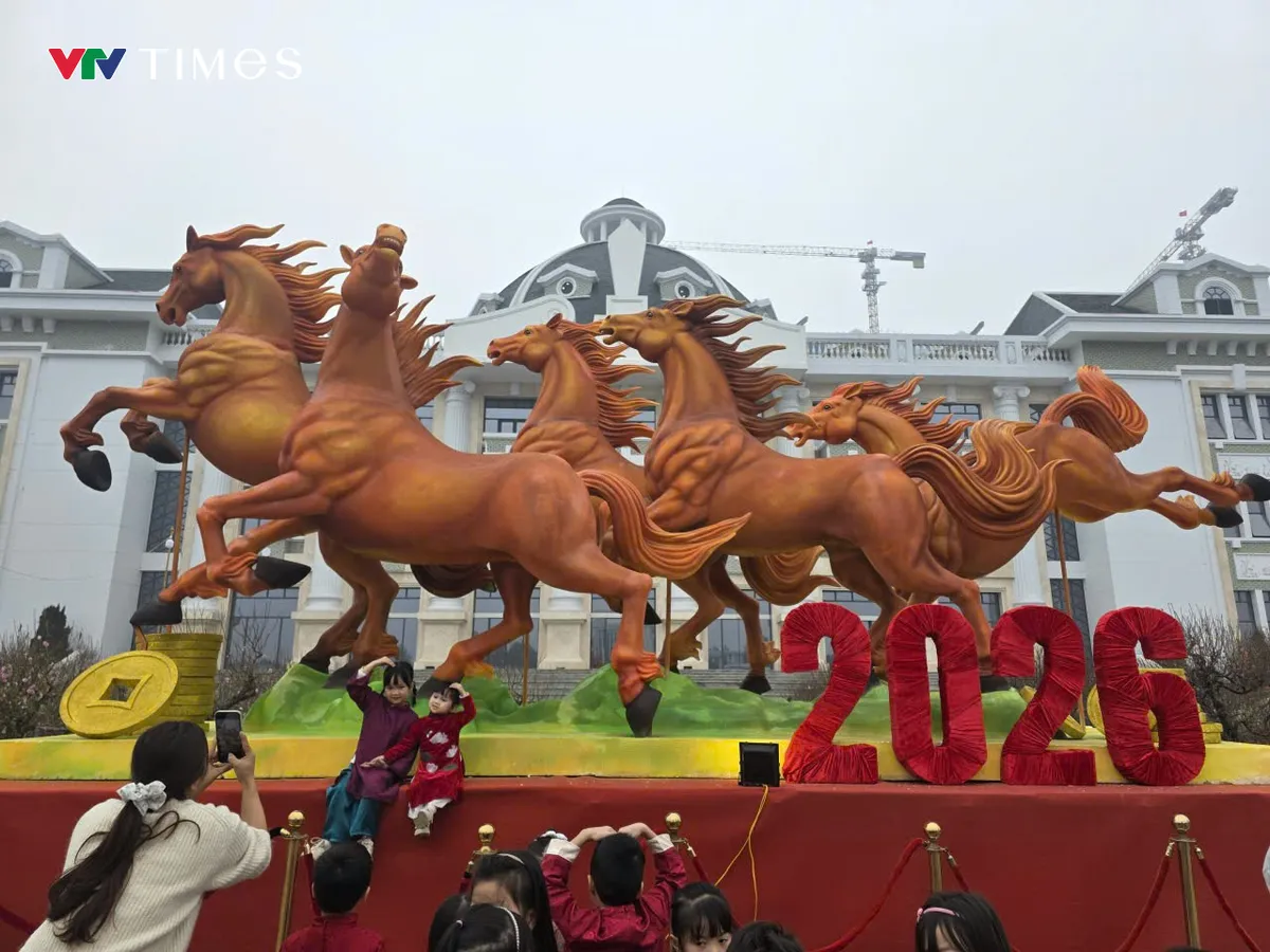 Chợ hoa xu&acirc;n Ph&uacute; Thọ nhộn nhịp những ng&agrave;y gi&aacute;p Tết B&iacute;nh Ngọ 2026 - Ảnh 2.