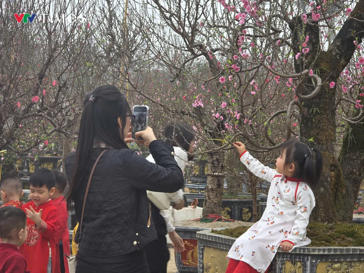 Chợ hoa xu&acirc;n Ph&uacute; Thọ nhộn nhịp những ng&agrave;y gi&aacute;p Tết B&iacute;nh Ngọ 2026 - Ảnh 5.