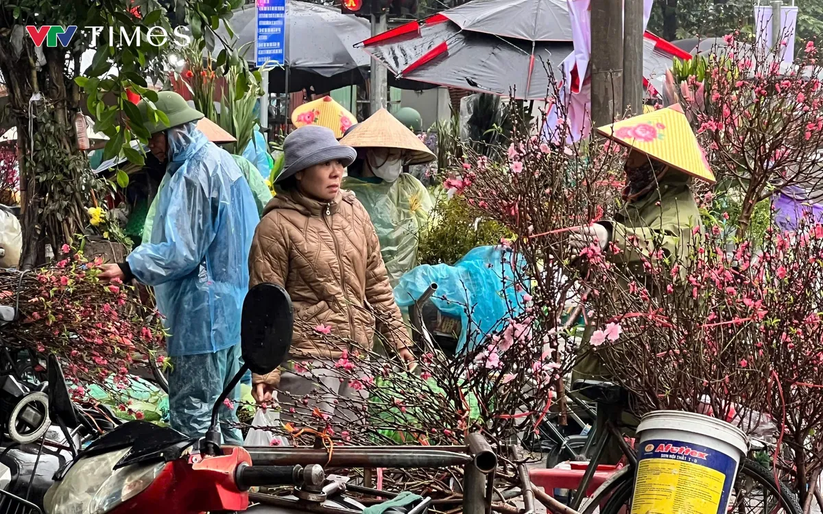Trong những ngày cuối tháng Chạp, khi nhiệt độ Hà Nội giảm sâu kèm theo mưa phùn đặc trưng của mùa đông Bắc Bộ, không khí chuẩn bị cho Tết Nguyên đán vẫn không hề giảm nhiệt. Tại các khu chợ dân sinh hình ảnh những người dân mặc áo mưa vẫn miệt mài bên những cành đào chờ khách.