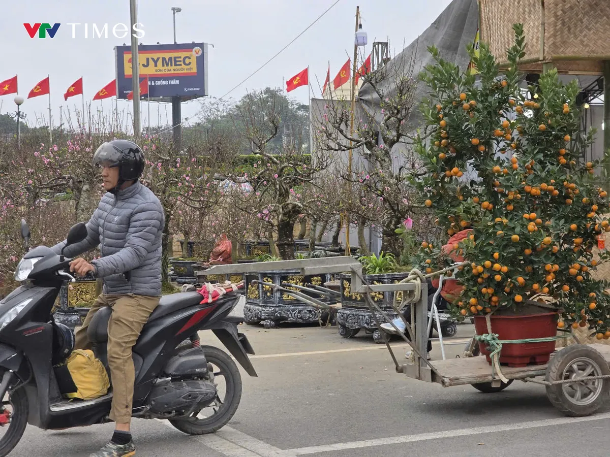 Chợ hoa xu&acirc;n Ph&uacute; Thọ nhộn nhịp những ng&agrave;y gi&aacute;p Tết B&iacute;nh Ngọ 2026 - Ảnh 9.