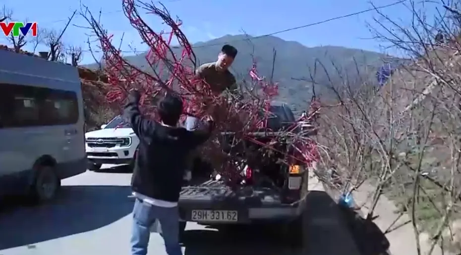 Phi&ecirc;n chợ đ&agrave;o ven đường mang Tết sớm về phố - Ảnh 1.