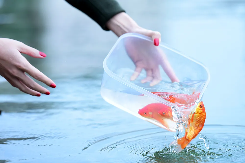 Giữ nếp xưa trong nhịp sống hiện đại ng&agrave;y tiễn T&aacute;o qu&acirc;n về trời- Ảnh 5.