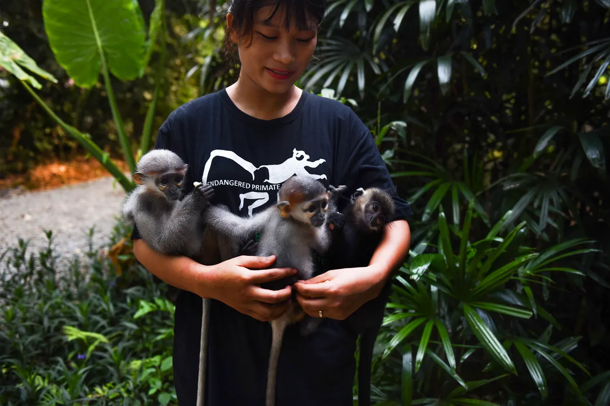 Khi nhân loại tỉnh thức và học cách sống khác- Ảnh 2. Khi nhân loại tỉnh thức và học cách sống khác- Ảnh 2.