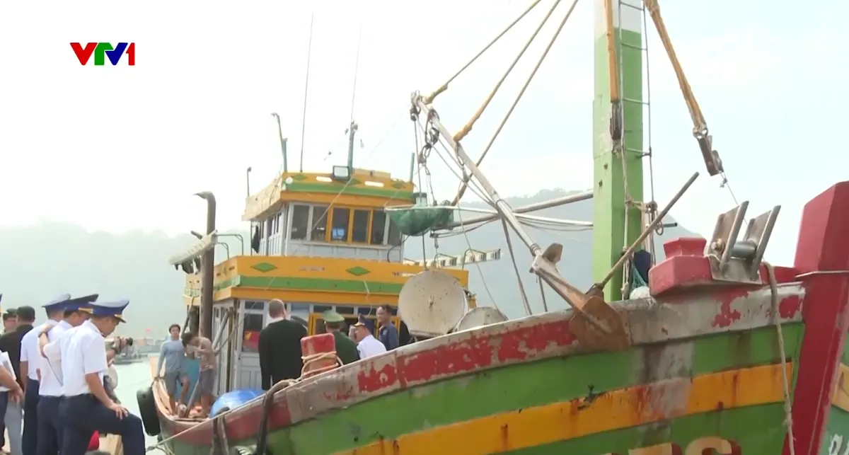 Ngư dân vùng biển tây nam về bờ, nghỉ Tết - Ảnh 1.