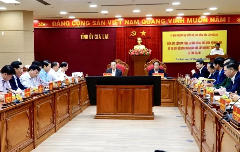 Đo&agrave;n c&ocirc;ng t&aacute;c Trung ương gi&aacute;m s&aacute;t, kiểm tra c&ocirc;ng t&aacute;c chuẩn bị bầu cử ở Gia Lai- Ảnh 1.