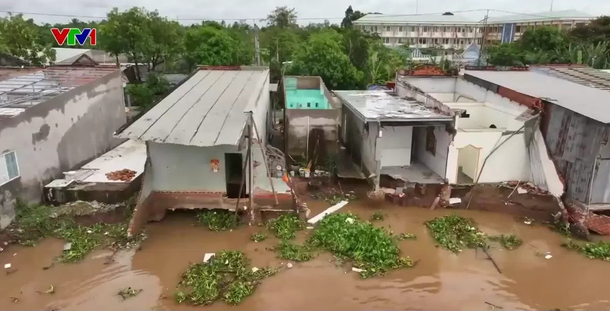 X&oacute;m sạt lở ven s&ocirc;ng Tiền hồi sinh cận Tết - Ảnh 1.