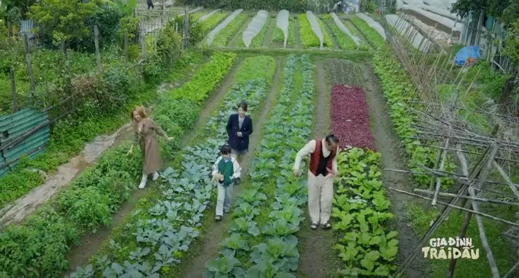 Gia đ&igrave;nh tr&aacute;i dấu - Tập 33: V&acirc;n bị sảy thai? - Ảnh 1.