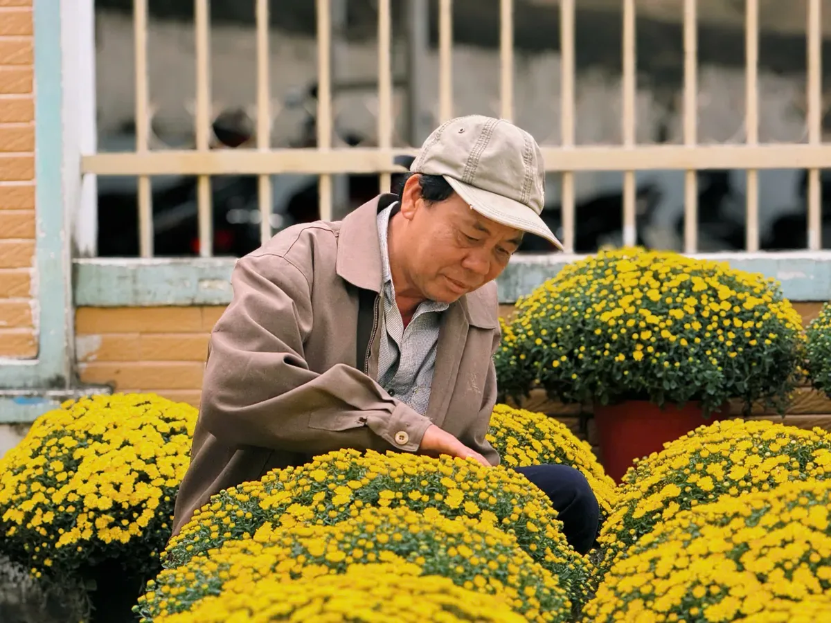 Nhiều người mua hoa Tết sớm, chia sẻ kh&oacute; khăn sau thi&ecirc;n tai - Ảnh 1.