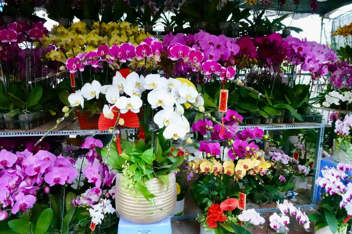 Chợ hoa "Tr&ecirc;n bến dưới thuyền" những ng&agrave;y cuối năm- Ảnh 20.