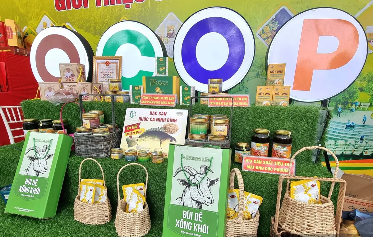 Rộn r&agrave;ng kh&ocirc;ng kh&iacute; Tết tại c&aacute;c chợ hoa xu&acirc;n ở Ninh B&igrave;nh - Ảnh 6.