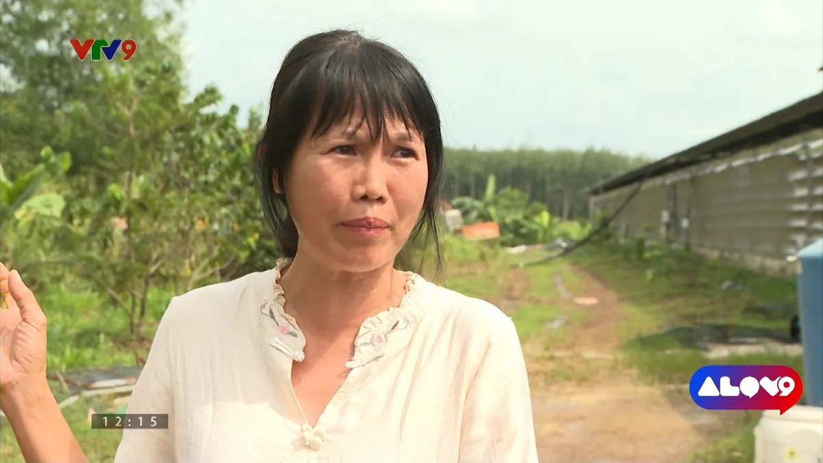 pnhn-1102-3 phan thị hồng.jpg