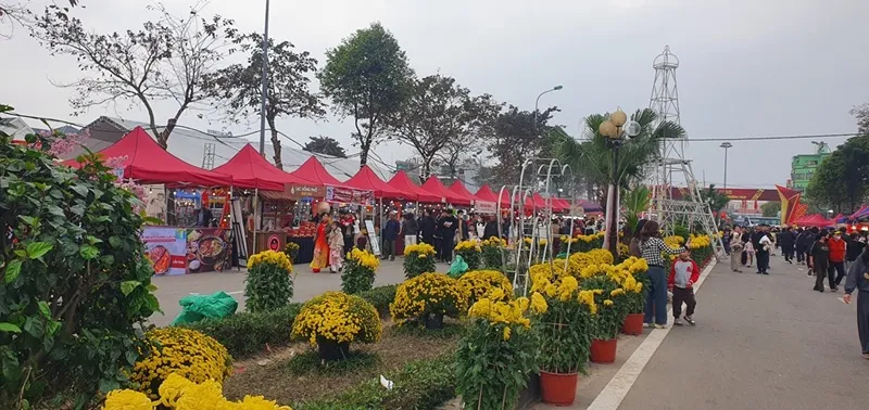 Rộn r&agrave;ng kh&ocirc;ng kh&iacute; Tết tại c&aacute;c chợ hoa xu&acirc;n ở Ninh B&igrave;nh - Ảnh 1.