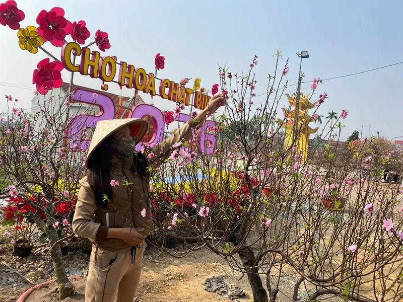 Rộn r&agrave;ng kh&ocirc;ng kh&iacute; Tết tại c&aacute;c chợ hoa xu&acirc;n ở Ninh B&igrave;nh - Ảnh 5.