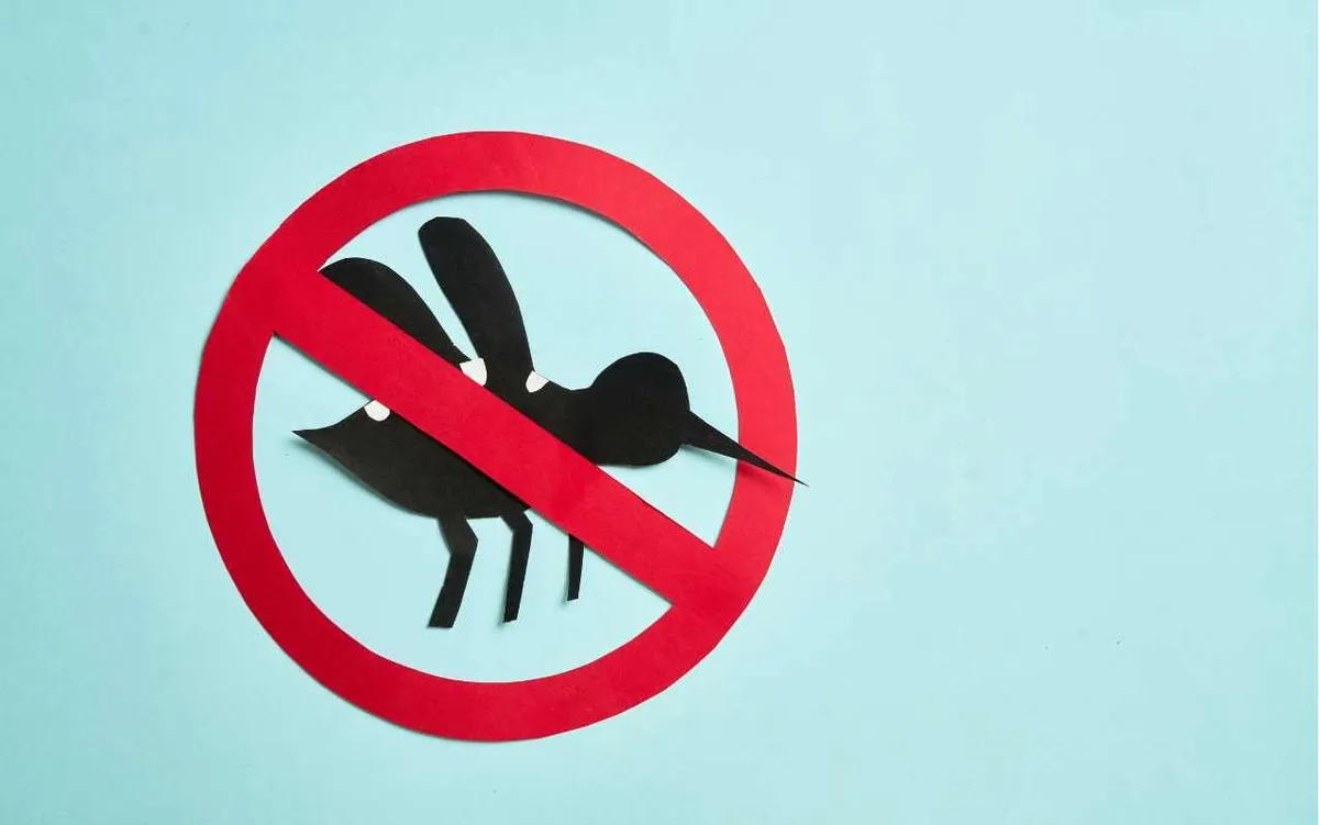 Hình minh họa: Canva