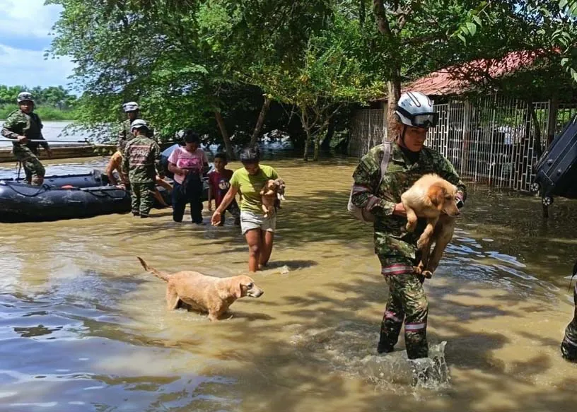 Lũ lụt, sạt lở nghi&ecirc;m trọng tại Mỹ Latinh, h&agrave;ng chục người thiệt mạng - Ảnh 2.