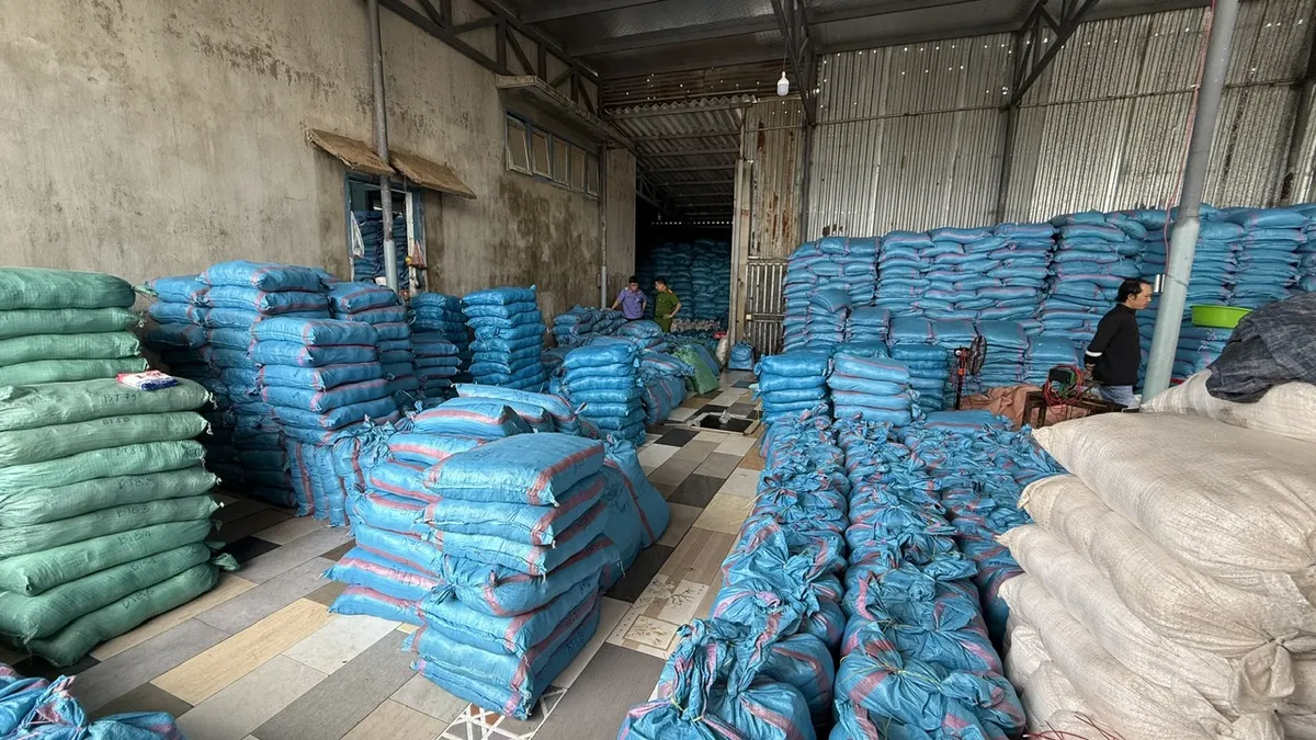 Khởi tố nữ gi&aacute;m đốc ở Đắk Lắk sản xuất 1.700 tấn muối i-ốt giả- Ảnh 2.