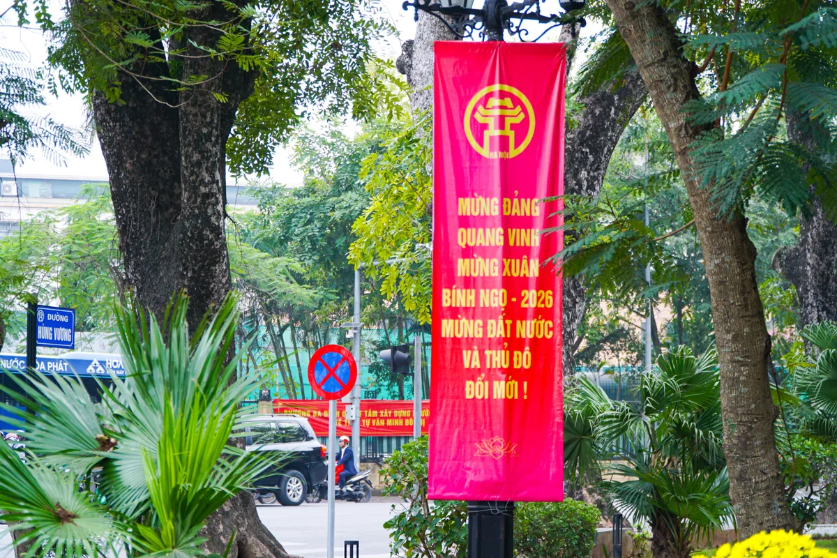 Phố phường Thủ đ&ocirc; ngập tr&agrave;n sắc xu&acirc;n  - Ảnh 24.