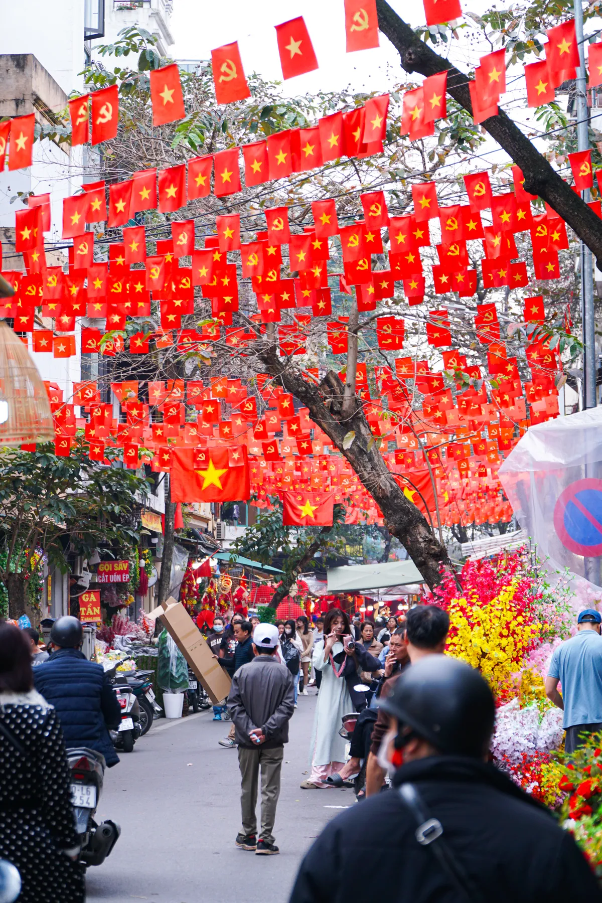 Phố phường Thủ đ&ocirc; ngập tr&agrave;n sắc xu&acirc;n  - Ảnh 14.