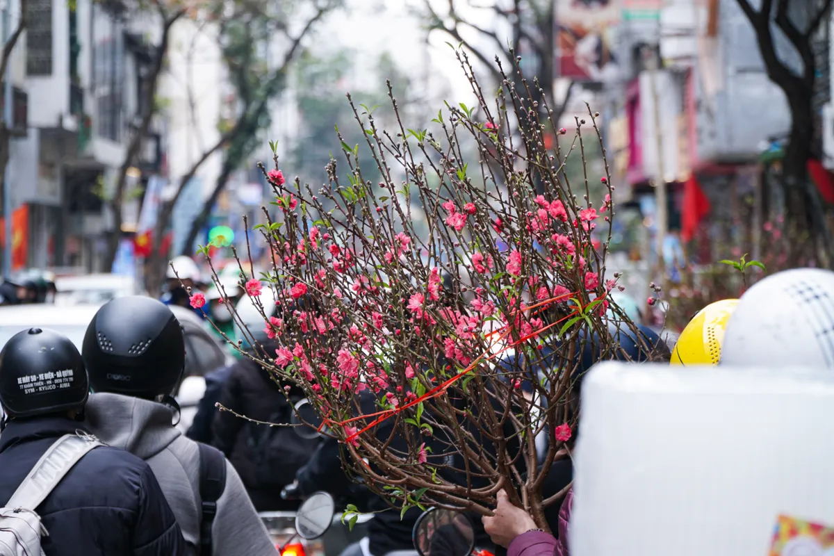 Phố phường Thủ đ&ocirc; ngập tr&agrave;n sắc xu&acirc;n  - Ảnh 6.