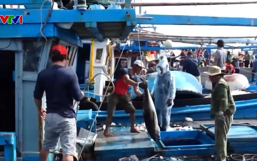 Sự hồi sinh của những mảnh đất sau thi&ecirc;n tai - Ảnh 1.