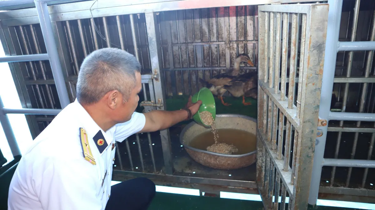 Nơi đầu s&oacute;ng, người l&iacute;nh gieo m&agrave;u xanh cho bữa cơm - Ảnh 5.