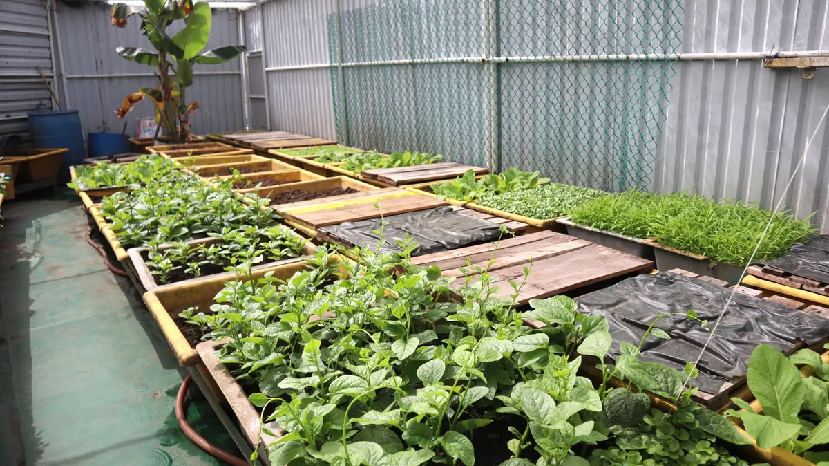 Nơi đầu s&oacute;ng, người l&iacute;nh gieo m&agrave;u xanh cho bữa cơm - Ảnh 3.