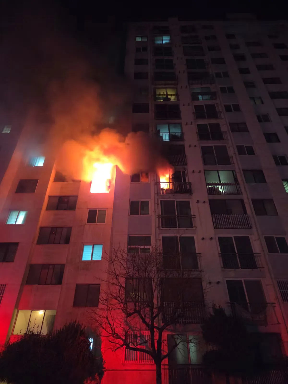 Hoả hoạn tại chung cư ở Busan khiến 2 người thiệt mạng - Ảnh 1.