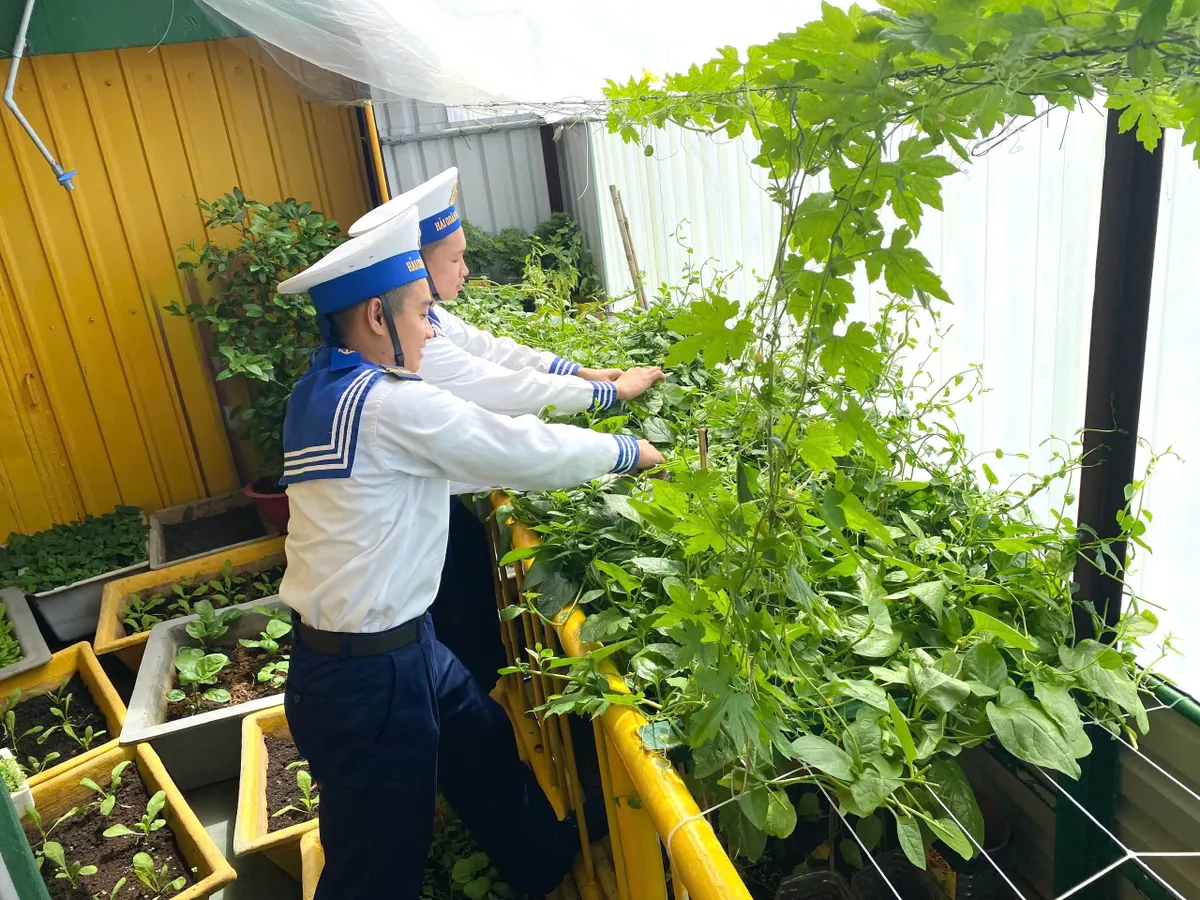 Nơi đầu s&oacute;ng, người l&iacute;nh gieo m&agrave;u xanh cho bữa cơm - Ảnh 1.