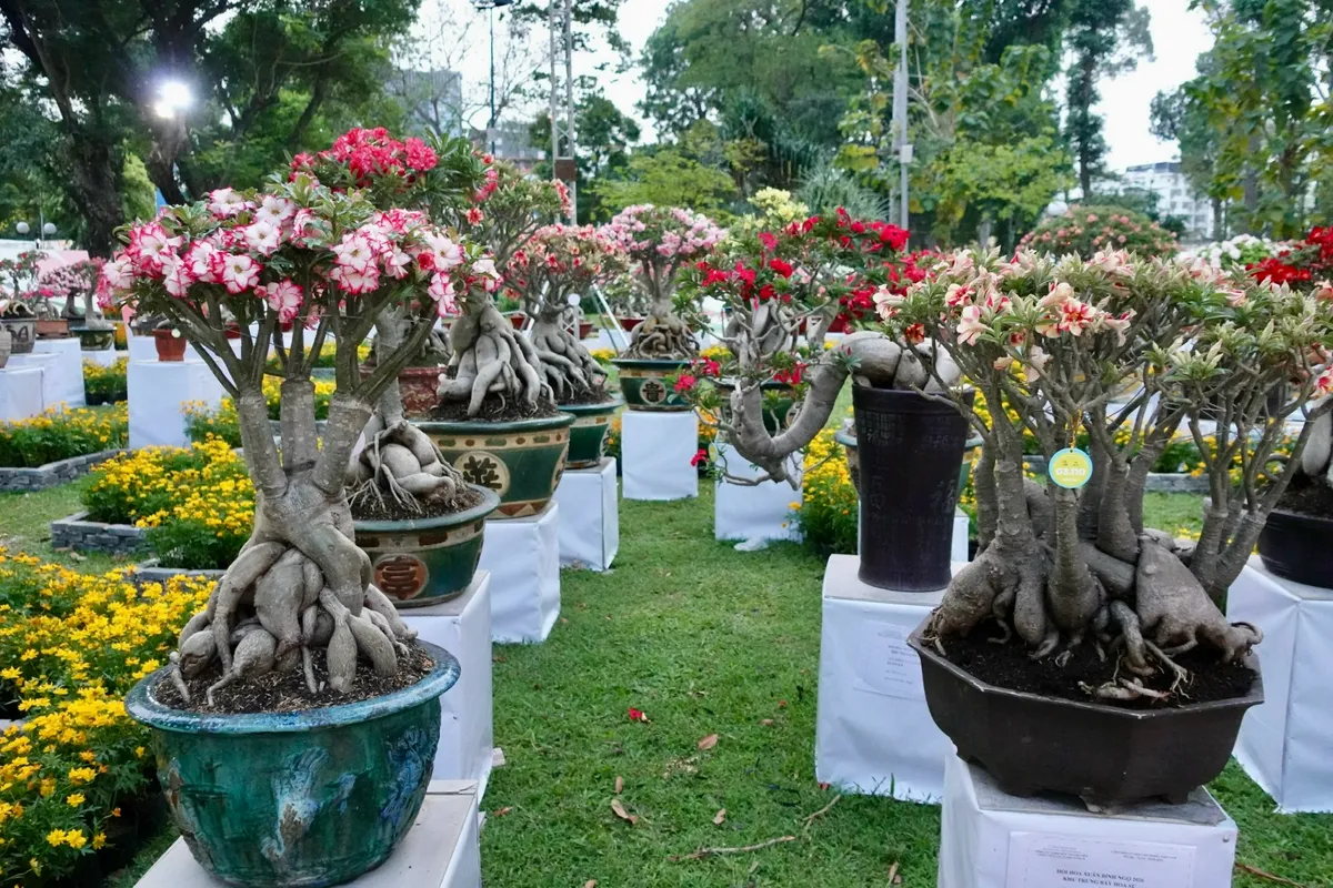 Hội hoa xuân Tao Đàn 2026: “Bản giao hưởng” của khát vọng bứt phá- Ảnh 14. Hội hoa xuân Tao Đàn 2026: “Bản giao hưởng” của khát vọng bứt phá- Ảnh 14.