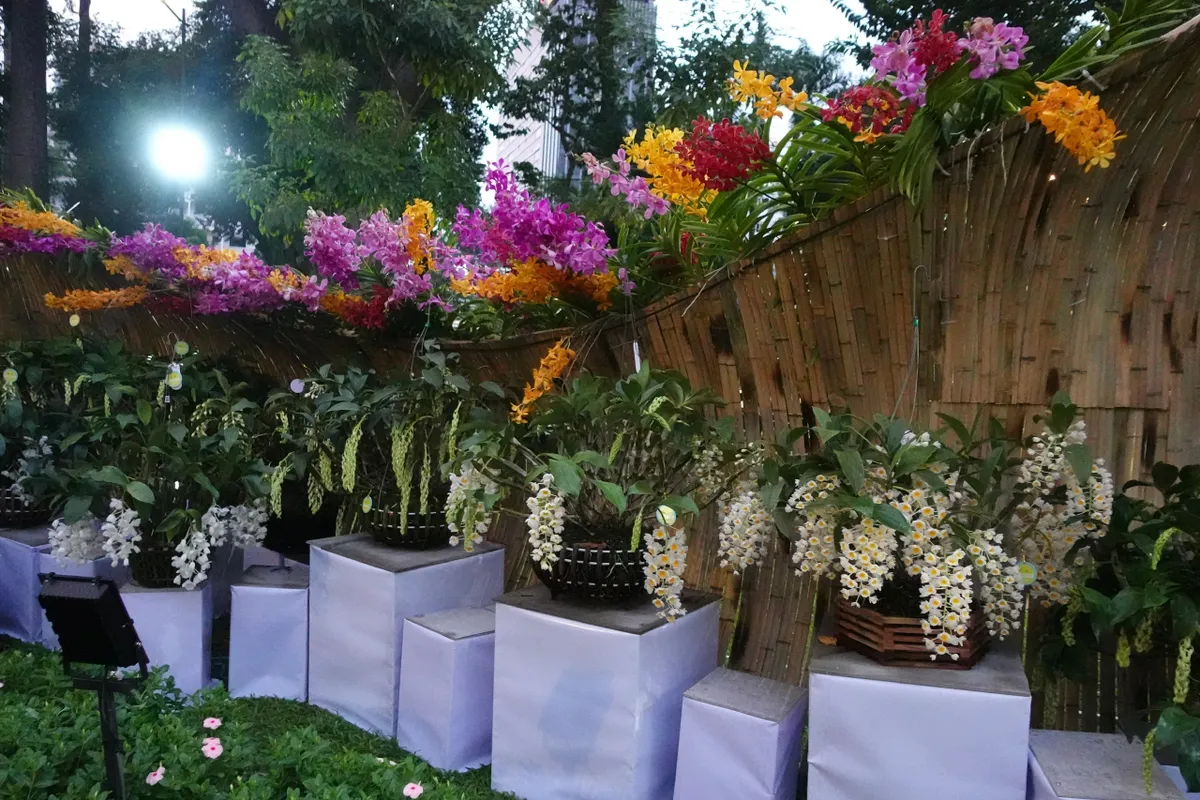 Hội hoa xuân Tao Đàn 2026: “Bản giao hưởng” của khát vọng bứt phá- Ảnh 8. Hội hoa xuân Tao Đàn 2026: “Bản giao hưởng” của khát vọng bứt phá- Ảnh 8.