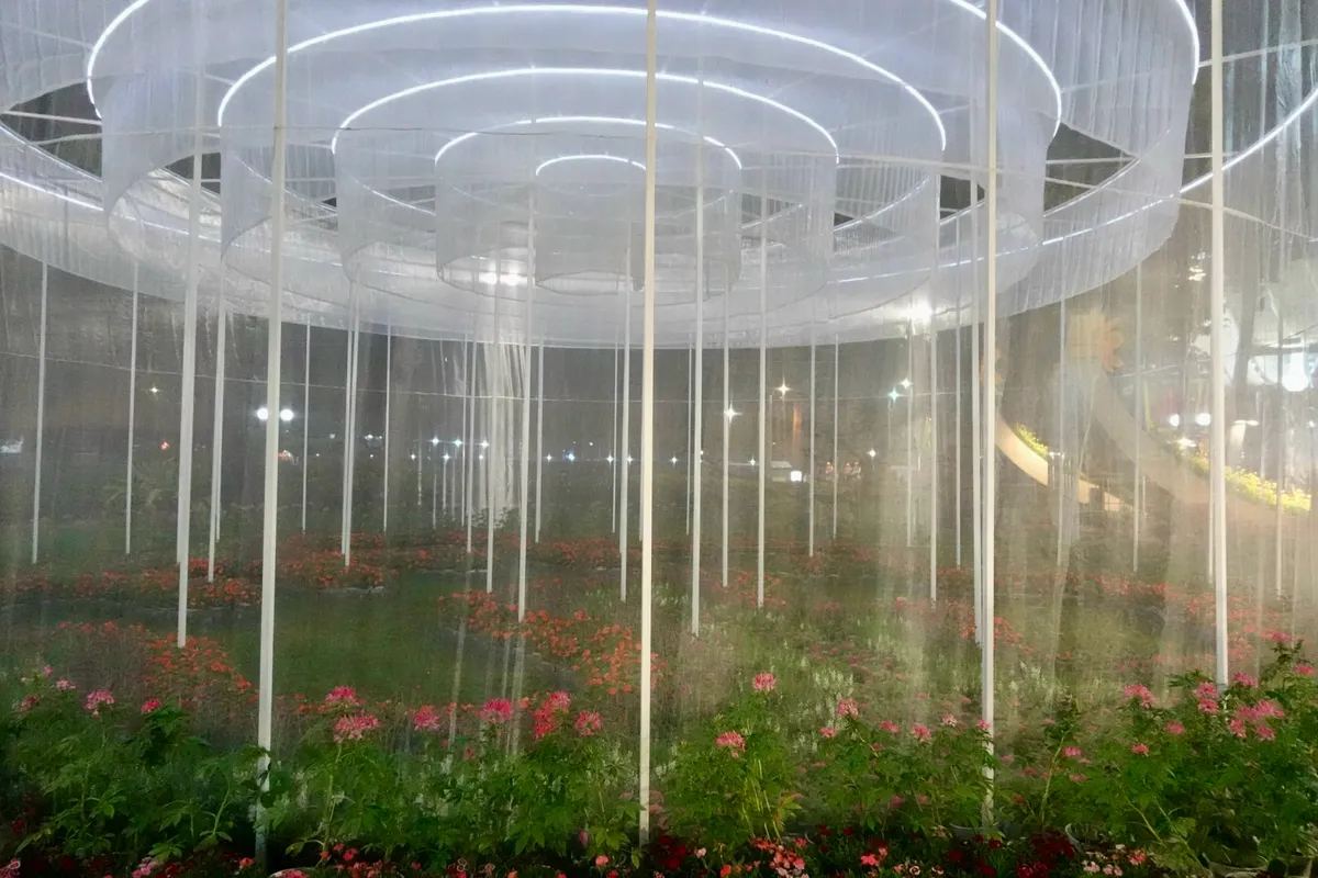 Hội hoa xuân Tao Đàn 2026: “Bản giao hưởng” của khát vọng bứt phá- Ảnh 13. Hội hoa xuân Tao Đàn 2026: “Bản giao hưởng” của khát vọng bứt phá- Ảnh 13.