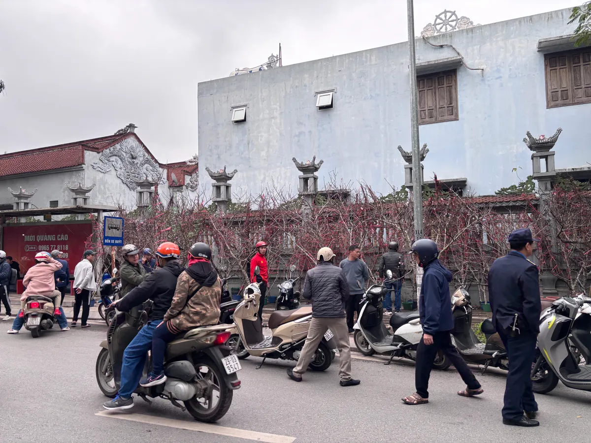 Đ&agrave;o, quất kh&ocirc;ng c&ograve;n cảnh &ldquo;h&eacute;t gi&aacute;&rdquo;, nhiều tiểu thương đồng loạt xả h&agrave;ng sớm- Ảnh 10.