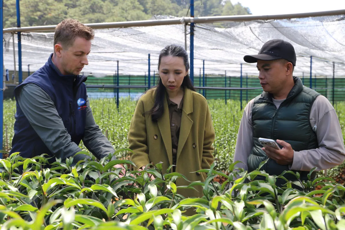 L&agrave;ng hoa v&ugrave;ng lũ đ&oacute;n năm mới - Ảnh 6.