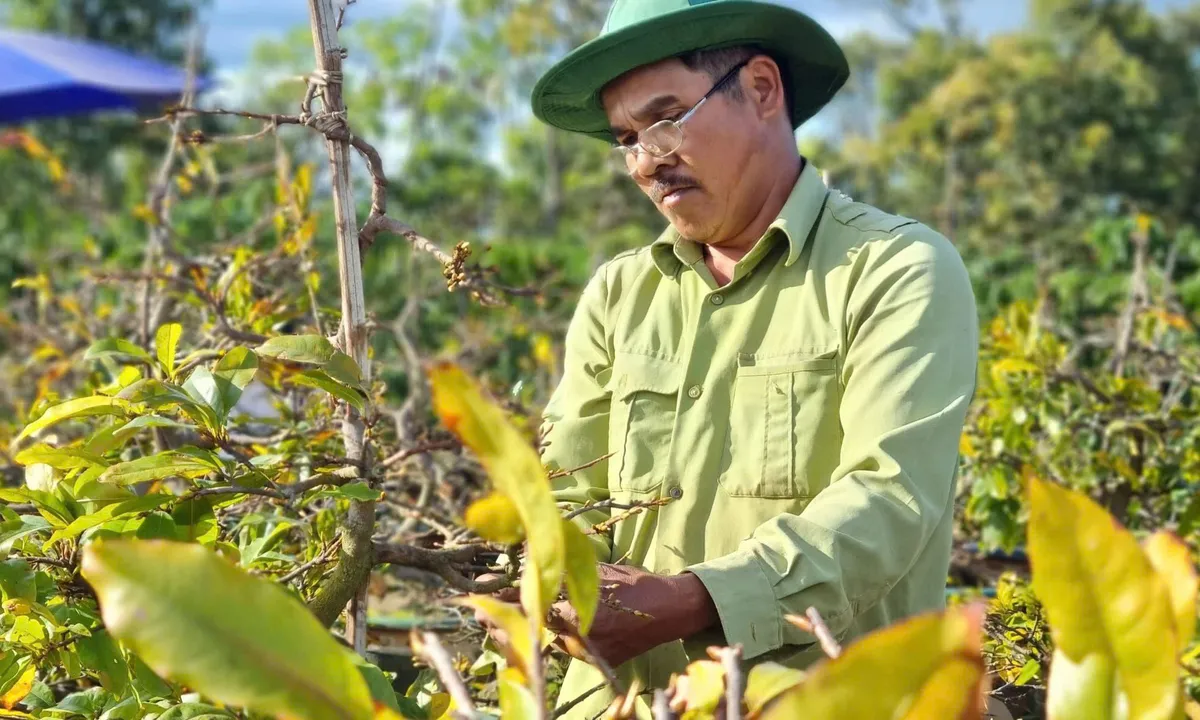 L&agrave;ng hoa v&ugrave;ng lũ đ&oacute;n năm mới - Ảnh 4.
