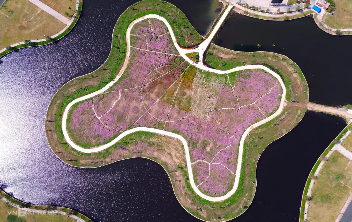 Đảo hoa rộng hơn 2,5 ha ở phường Tân Thành trở thành điểm du xuân hút khách tại Cà Mau- Ảnh 1. Đảo hoa rộng hơn 2,5 ha ở phường Tân Thành trở thành điểm du xuân hút khách tại Cà Mau- Ảnh 1.