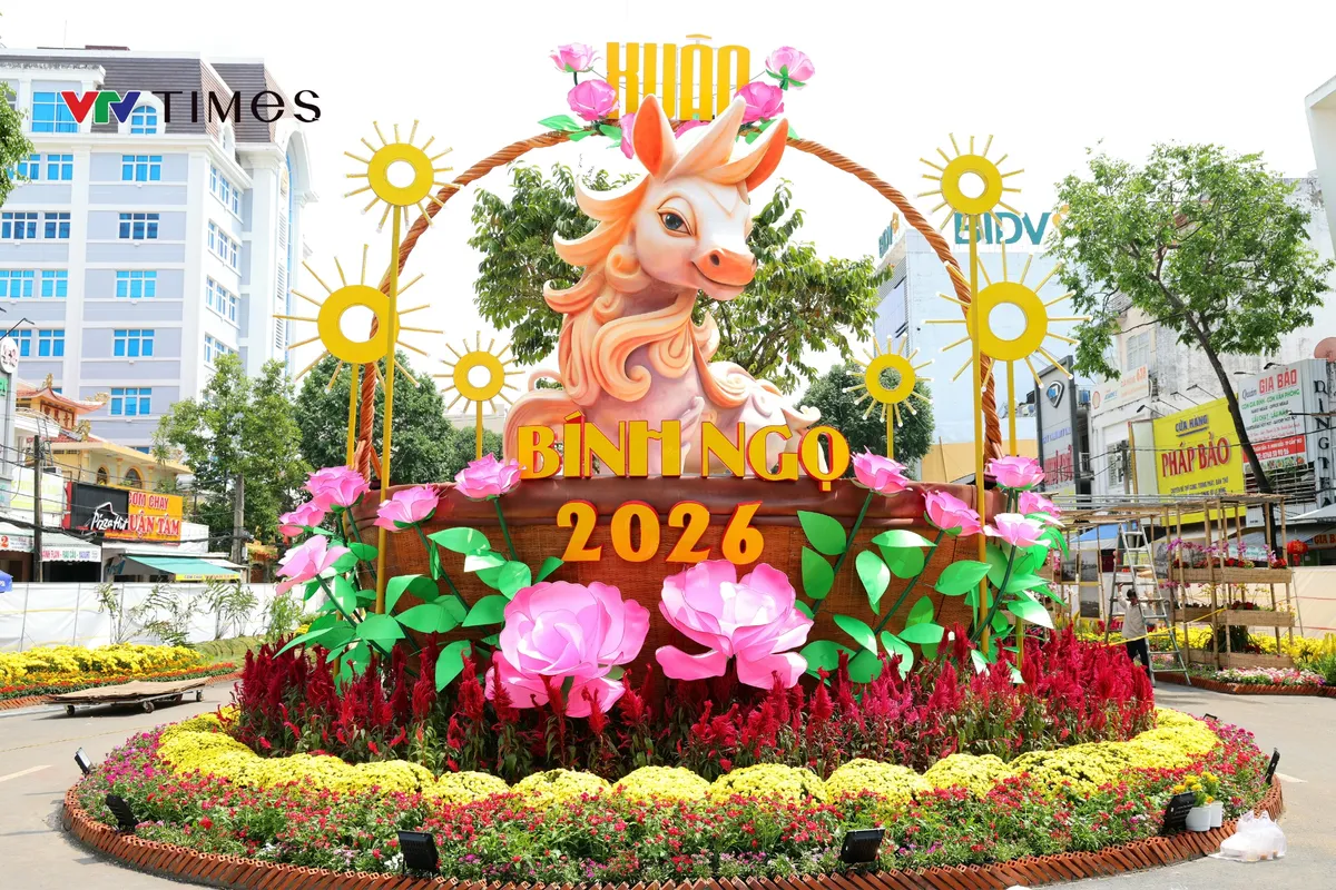 Hơn 50.000 chậu hoa khoe sắc tại Đường hoa Cần Thơ 2026 - Ảnh 4.