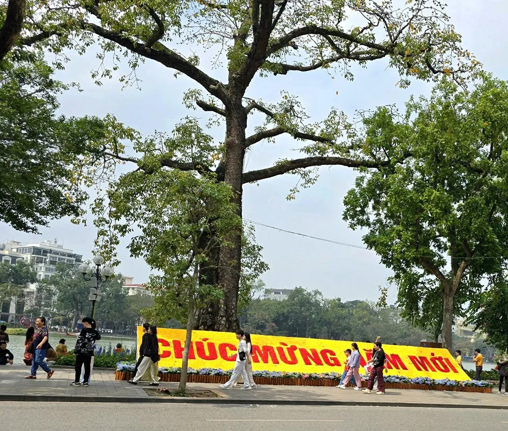 Thảnh thơi dạo quanh hồ Ho&agrave;n Kiếm, cảm nhận H&agrave; Nội chậm lại trước thềm Xu&acirc;n- Ảnh 1.