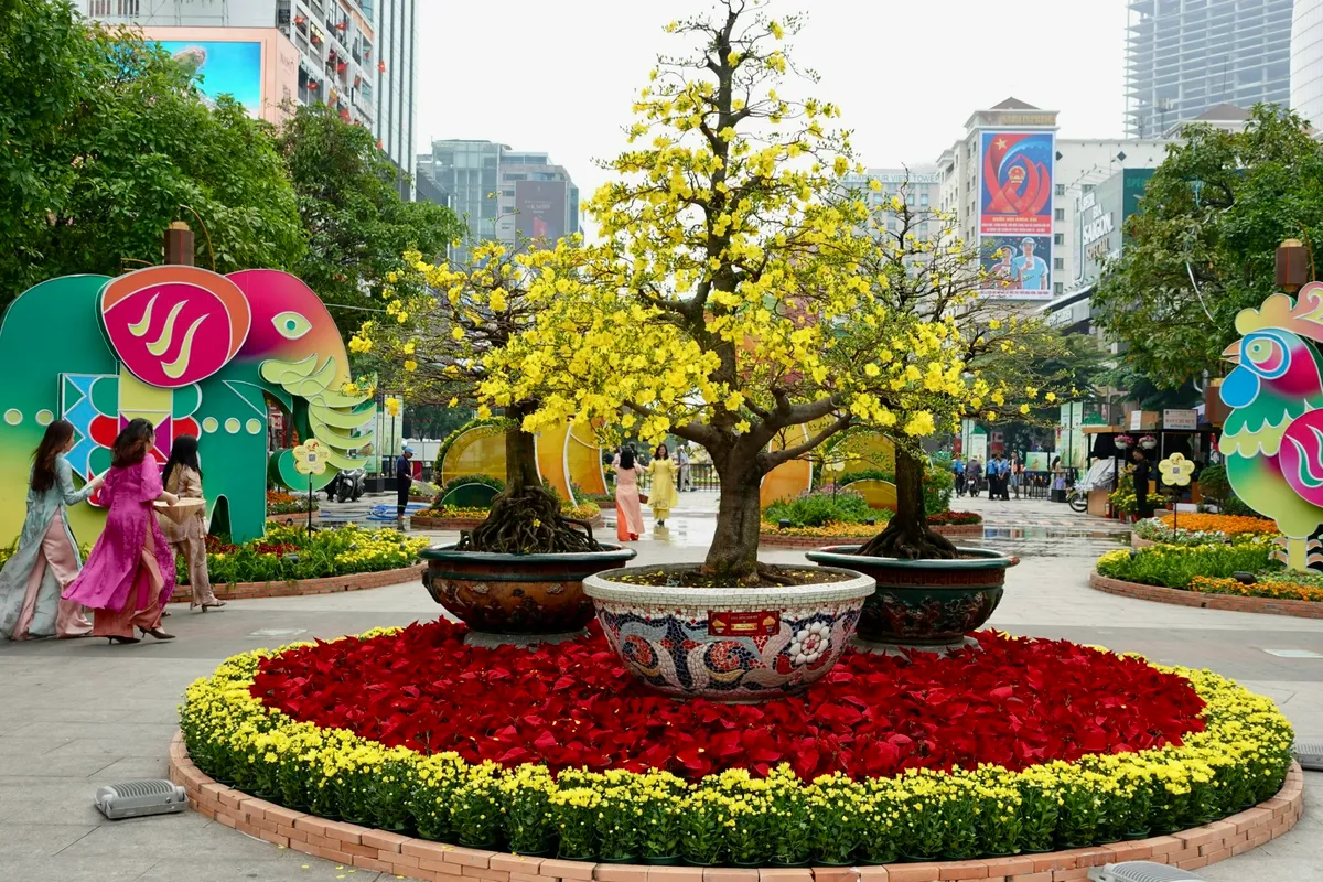 Đường hoa Nguyễn Huệ đã sẵn sàng đón khách tham quan - Ảnh 4.