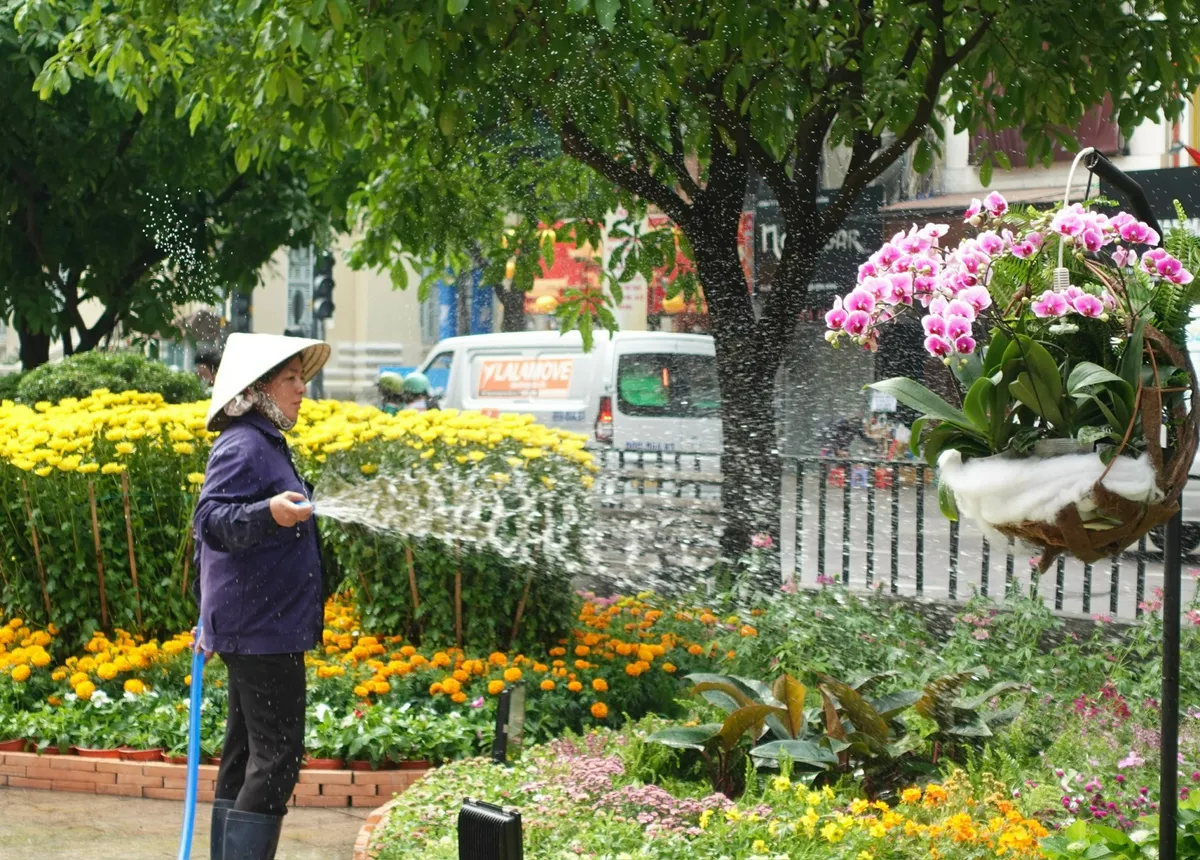 Đường hoa Nguyễn Huệ đã sẵn sàng đón khách tham quan - Ảnh 22.