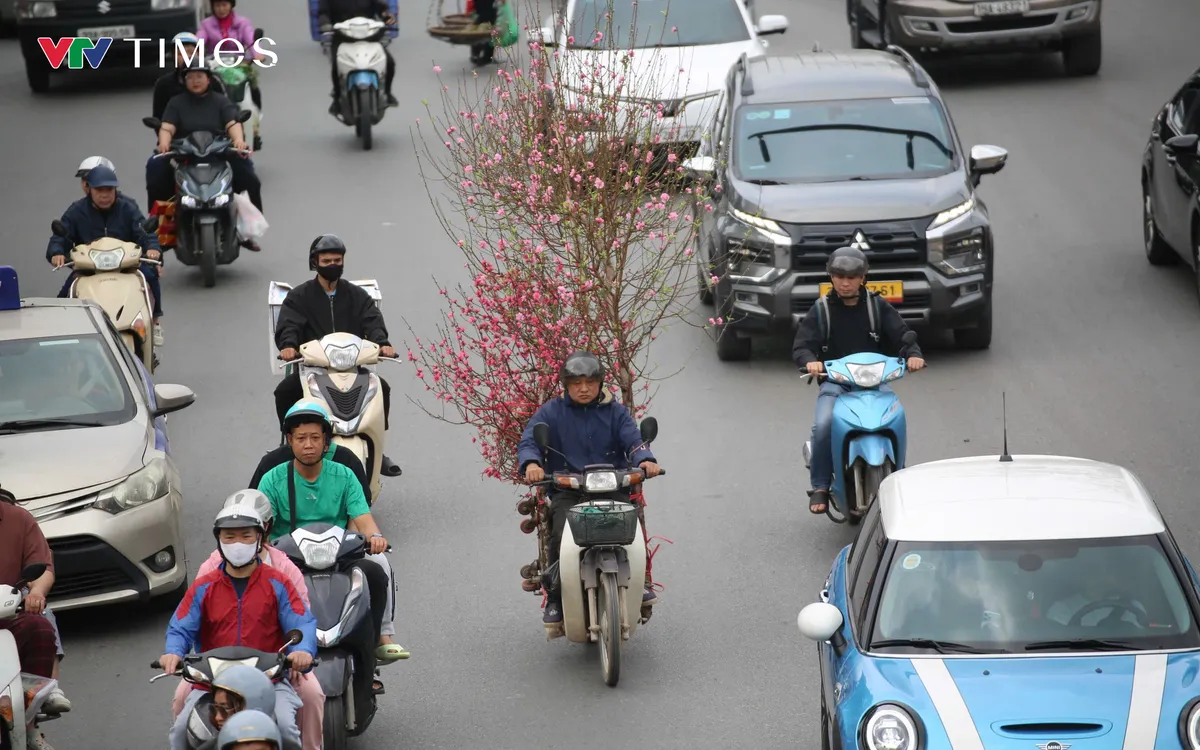 Phố xá những ngày cuối năm rộn ràng hẳn lên bởi dòng người hối hả chở theo sắc xuân của đào, quất.