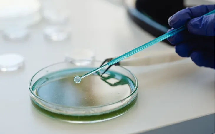 Cục An toàn thực phẩm yêu cầu xử lý vụ nghi ngờ ngộ độc botulinum sau bữa ăn cá ủ chua- Ảnh 1. Cục An toàn thực phẩm yêu cầu xử lý vụ nghi ngờ ngộ độc botulinum sau bữa ăn cá ủ chua- Ảnh 1.