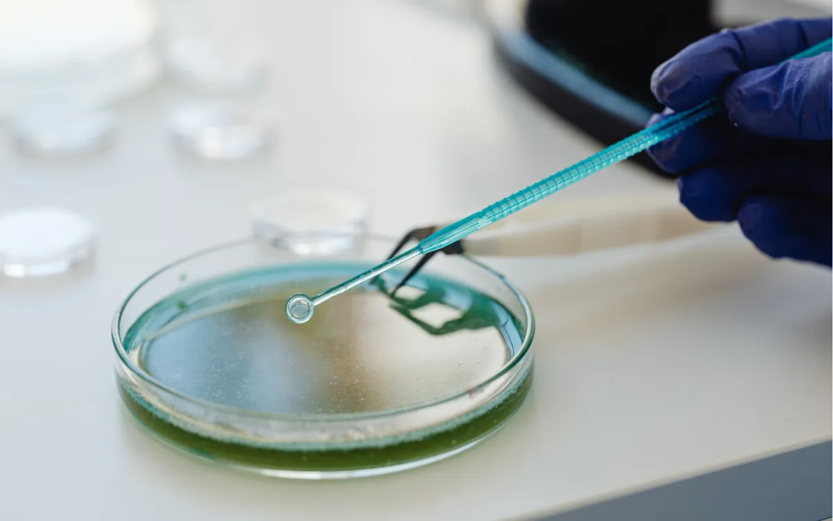 Ảnh minh họa: Pexels