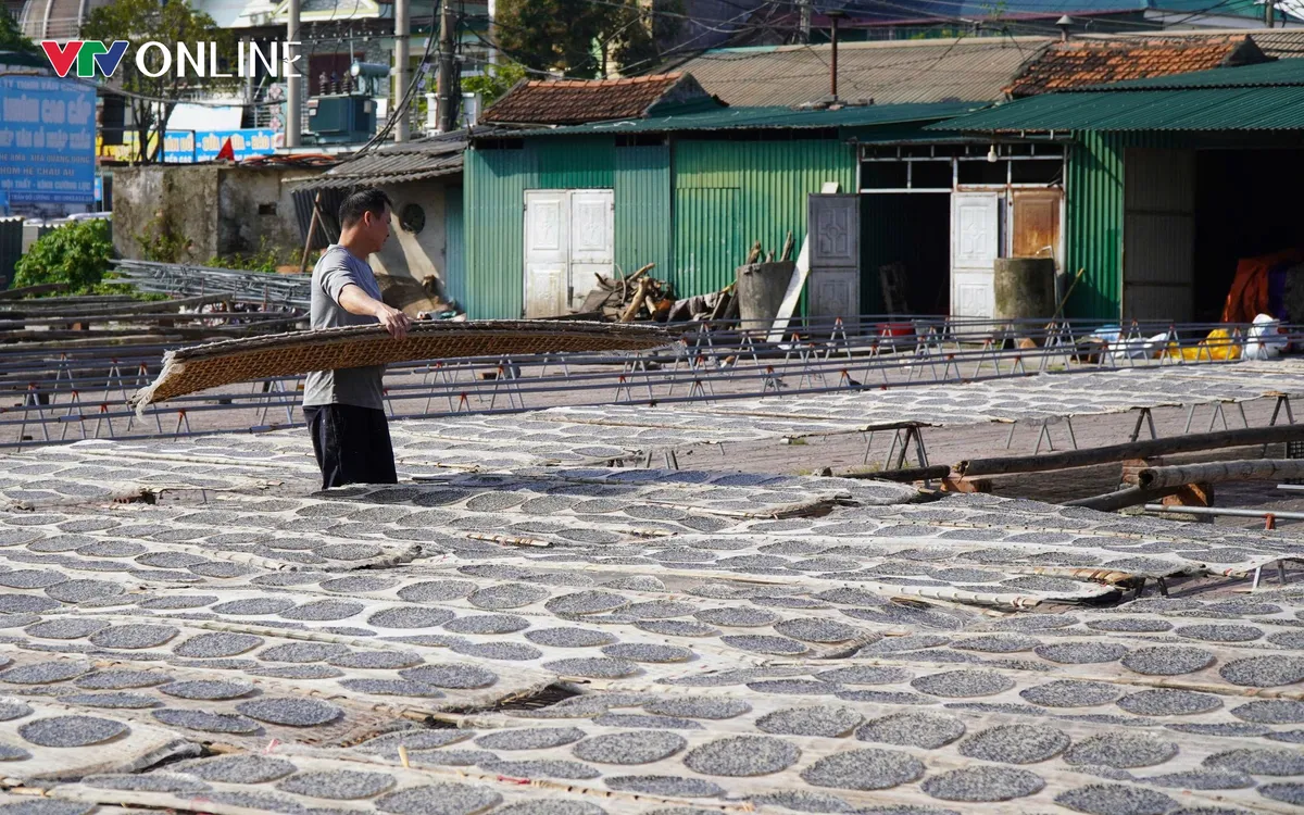 Làng nghề bánh đa Vĩnh Đức đã có hơn 300 năm tuổi. Ảnh: Ngọc Quân.