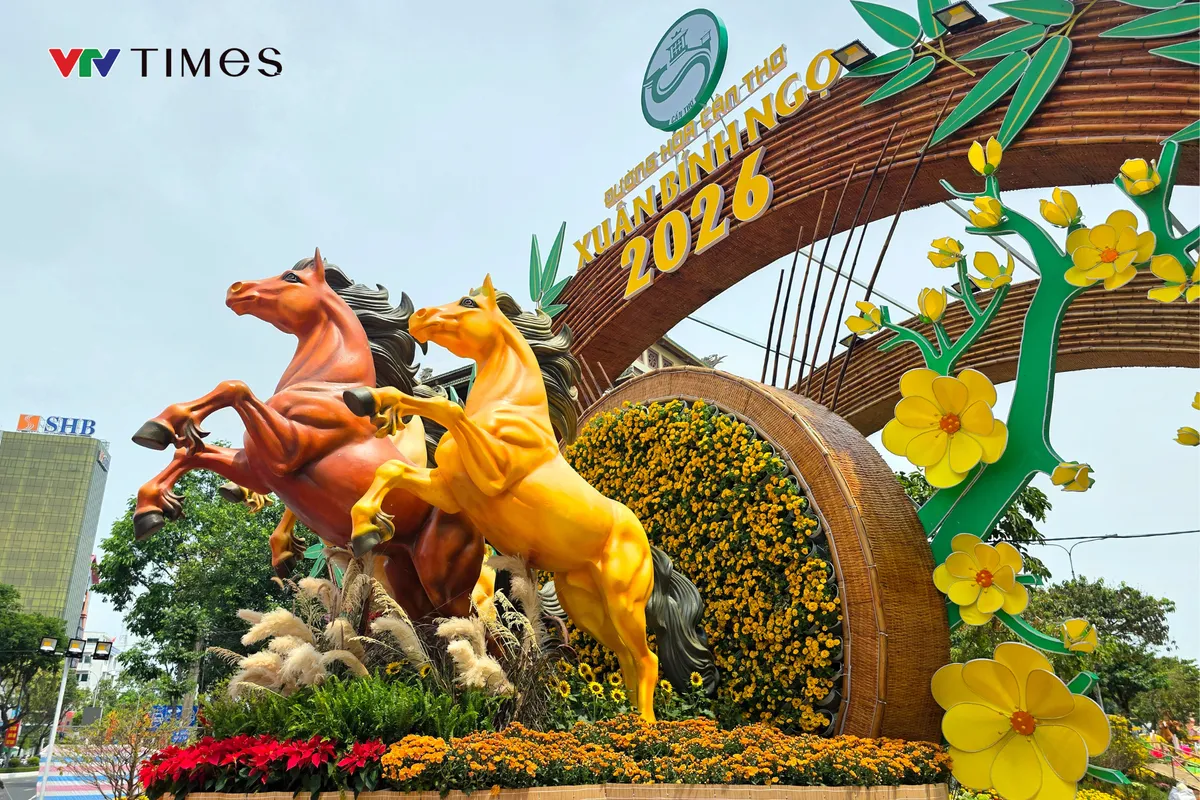 Hơn 50.000 chậu hoa khoe sắc tại Đường hoa Cần Thơ 2026 - Ảnh 1.