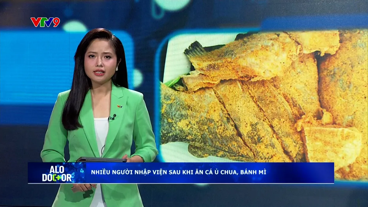 Alo Doctor (16/02/2026): Nhiều người nhập viện sau khi ăn cá ủ chua, bánh mì