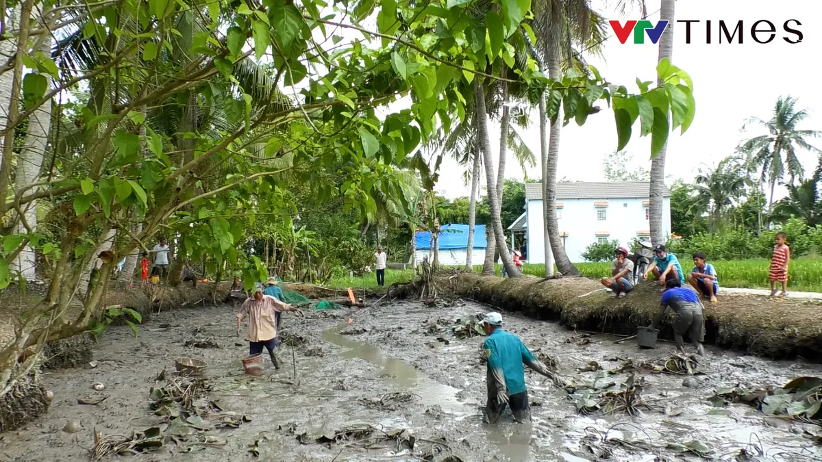 Tát đìa đón Tết ở miền Tây - Ảnh 1.