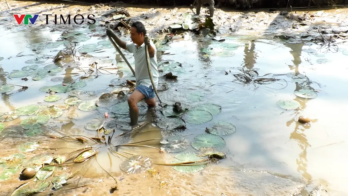 Tát đìa đón Tết ở miền Tây - Ảnh 2.