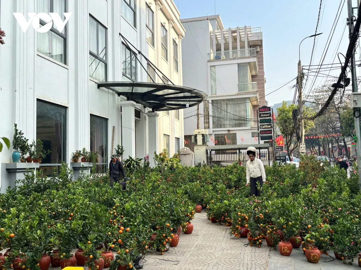 Sơn La tăng cường kiểm soát thị trường ngày giáp Tết- Ảnh 5. Sơn La tăng cường kiểm soát thị trường ngày giáp Tết- Ảnh 5.