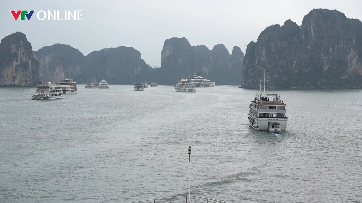 Quảng Ninh chuyển đổi mô hình - hướng tới đô thị thông minh - Ảnh 3.