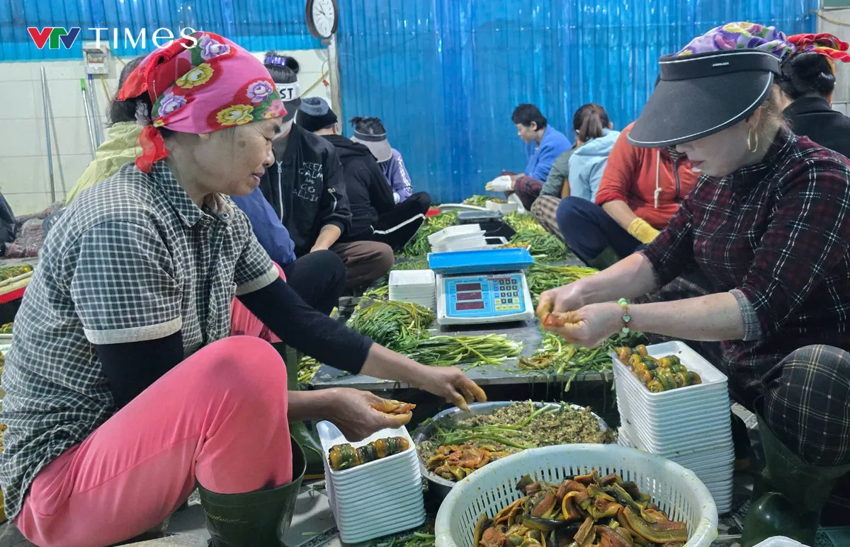 Làng chế biến lươn lớn nhất xứ Nghệ “vươn xa thị trường” dịp Tết - Ảnh 1.